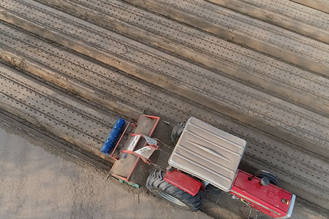 Plant Marking with Machine